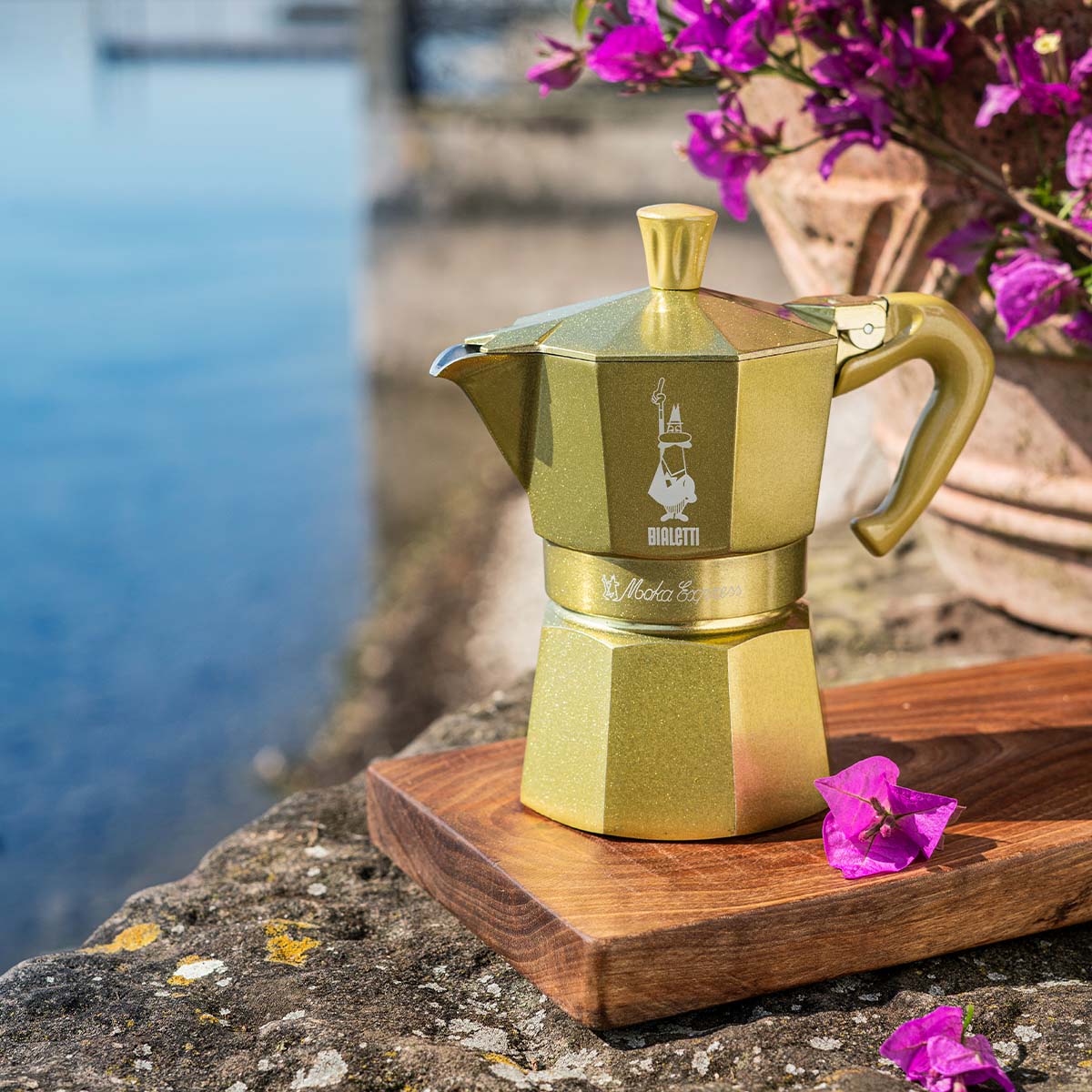 Moka Express 1 tazza verde cedro